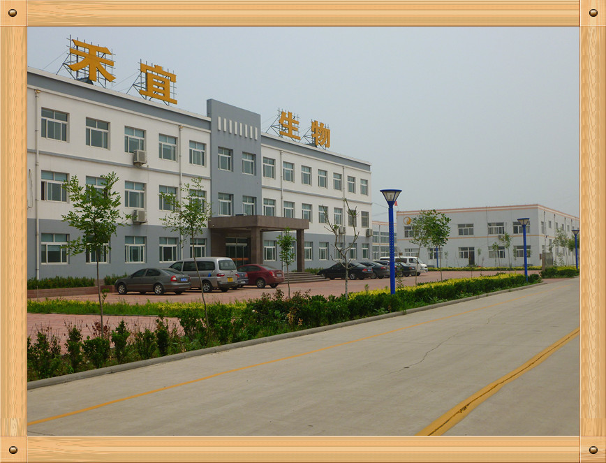 Trung Quốc Weifang Heyi Agrochemical Co.,Ltd hồ sơ công ty
